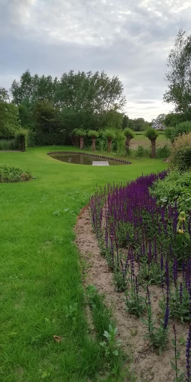 Natuurtuin met  amfibiepoel
